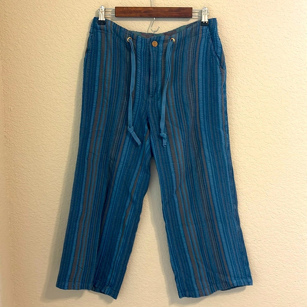 Sundance Capri Pants Size SX in Blue Striped